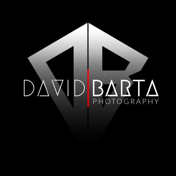 David Barta Photography Logo